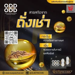 อ๊อด อ๊อด ODD ODD อาหารเสริมผู้ชาย ยาเสริมสมรรถภาพ อาหารเสริมผู้ชายเพิ่มขนาด หลั่งเร็ว นกเขาไม่ขัน