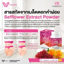 VB Plus วีบี ลดน้ำหนัก ลดไขมัน เร่งเผาผลาญ ต้นแจน ต้นขา หน้าท้อง ลงพุง VONCE INVIGO